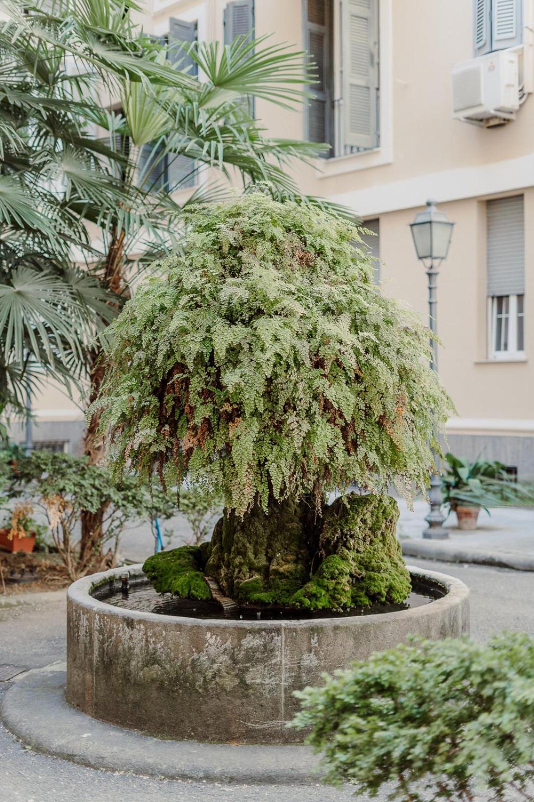 Valentine'S Dream Apartment Rome Luaran gambar